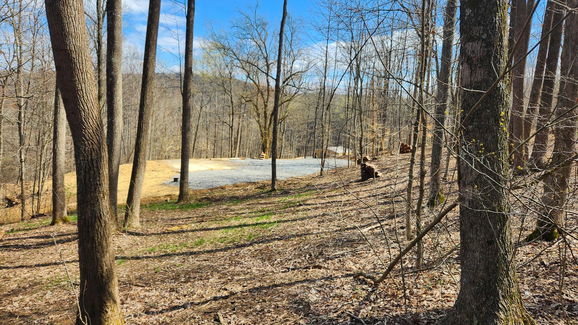 Pike Lake Rd Road #TRACT 2 PIKE LAKE GETAWA, Bainbridge, Ohio image 42