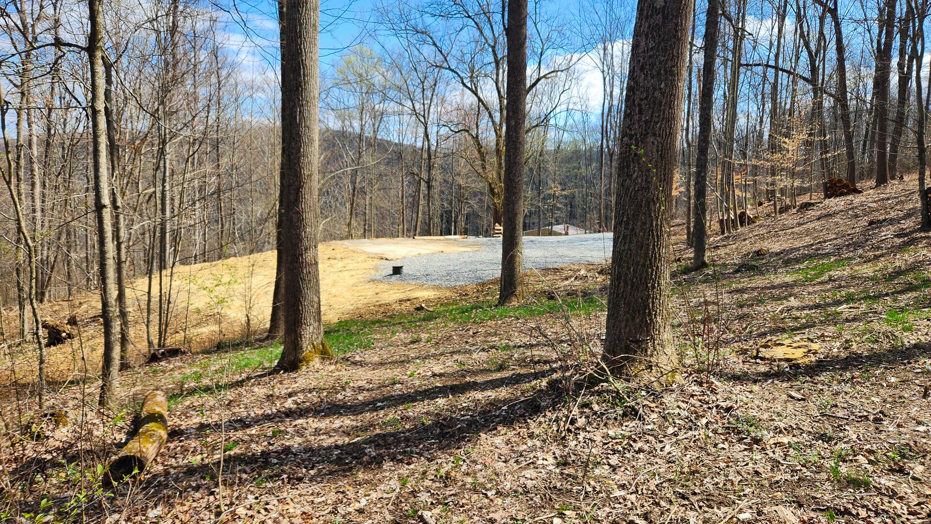 Pike Lake Rd Road #TRACT 2 PIKE LAKE GETAWA, Bainbridge, Ohio image 13