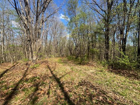 Tiny photo for 24215 Sheets Mccoy Road, New Plymouth, OH 45654 (MLS # 226013019)