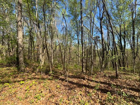 Tiny photo for 24215 Sheets Mccoy Road, New Plymouth, OH 45654 (MLS # 226013019)