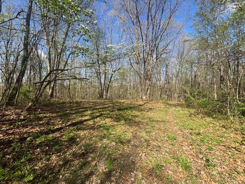Tiny photo for 24215 Sheets Mccoy Road, New Plymouth, OH 45654 (MLS # 226013019)