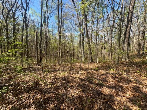 Tiny photo for 24215 Sheets Mccoy Road, New Plymouth, OH 45654 (MLS # 226013019)