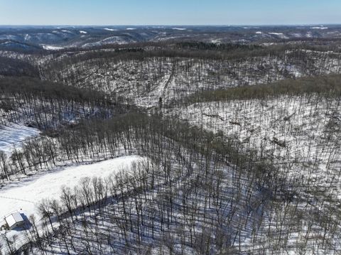 Vacant Land For Sale - 0 TRACT 4 Twp Rd 815<br/> Woodsfield, OH 43793