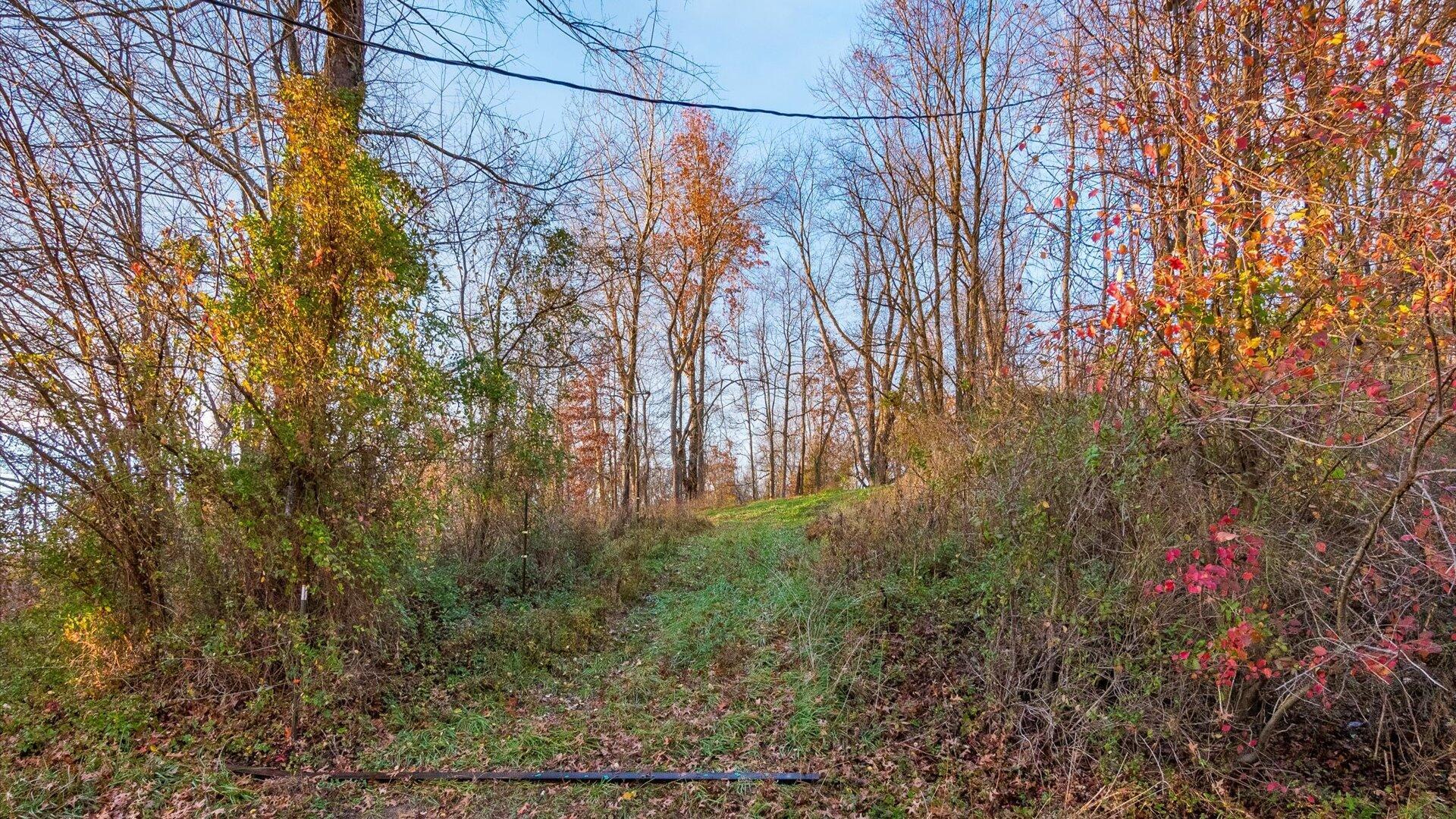 3406 State Route 37, Junction City, Ohio image 26