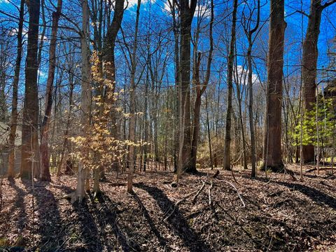 Photo of 849 Terrace View Drive, Howard, OH 43028 (MLS # 226007467)