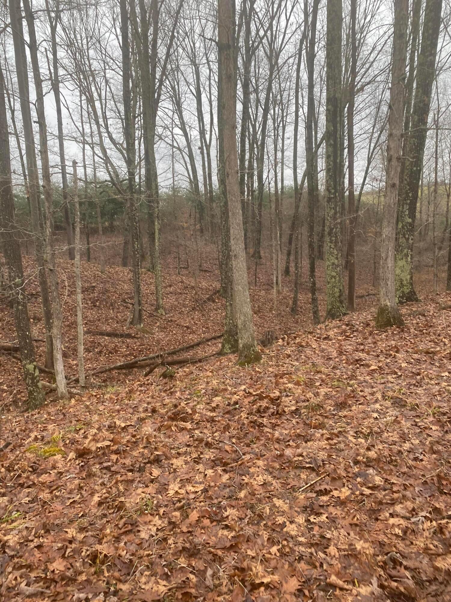 15393 Shade Road, Guysville, Ohio image 45