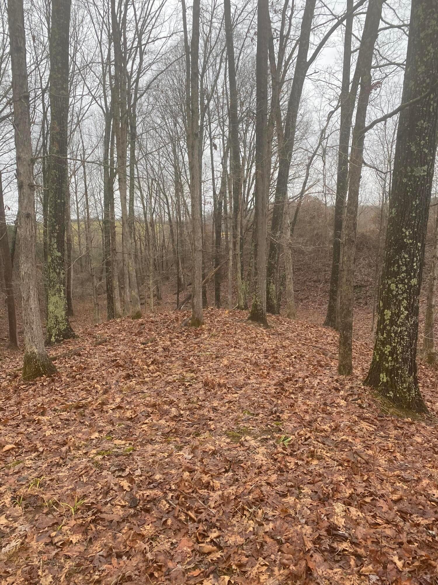 15393 Shade Road, Guysville, Ohio image 44