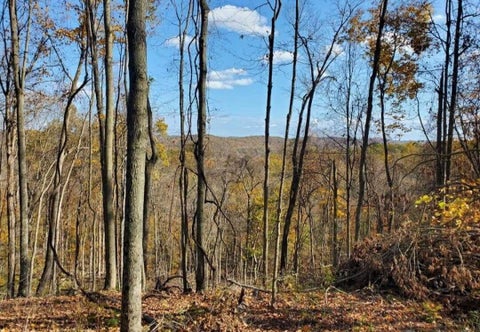 Photo of 0 State Route 691 Highway, Nelsonville, OH 45764 (MLS # 226034836)