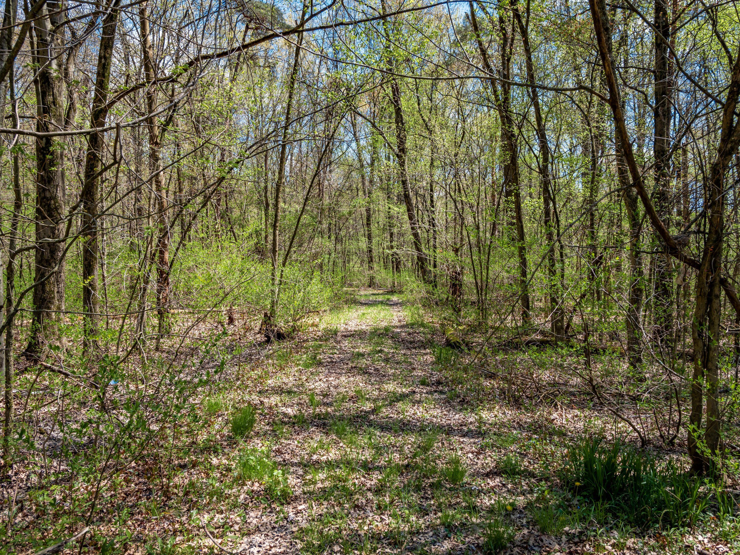 3773 Dixon Road, Pataskala, Ohio image 12