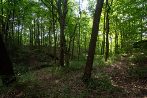 Tiny photo for 2457 Martinsville Road, Martinsville, OH 45146 (MLS # 225037640)