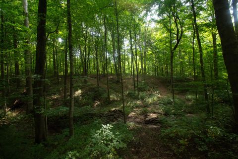 Tiny photo for 2457 Martinsville Road, Martinsville, OH 45146 (MLS # 225037640)