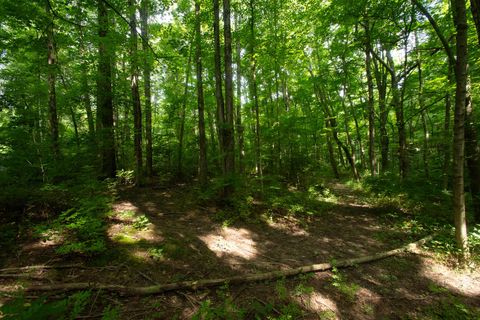 Tiny photo for 2457 Martinsville Road, Martinsville, OH 45146 (MLS # 225037640)