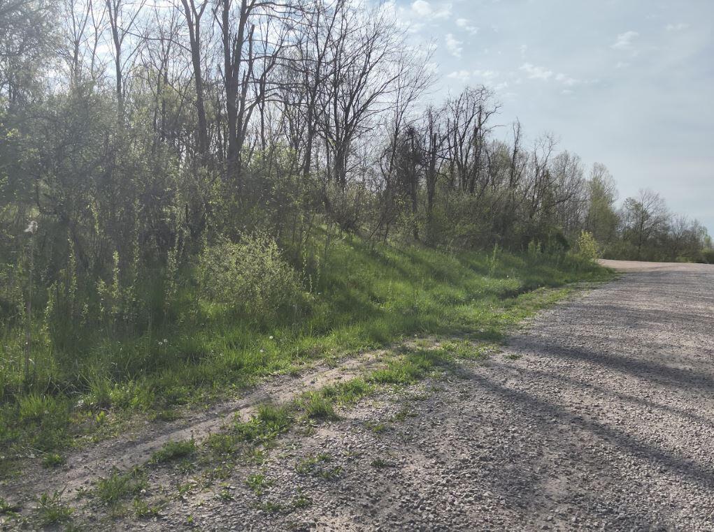 Roscoe Road, Jackson, Ohio image 8