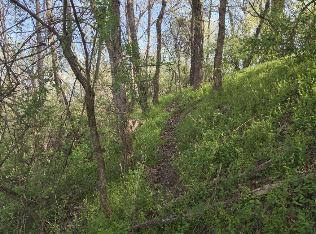 Roscoe Road, Jackson, Ohio image 10