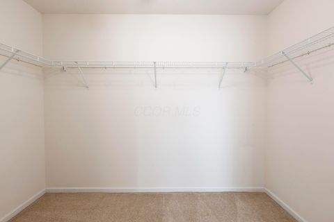 Tiny photo for 5318 Nottinghamshire Lane, Westerville, OH 43081 (MLS # 225042815)