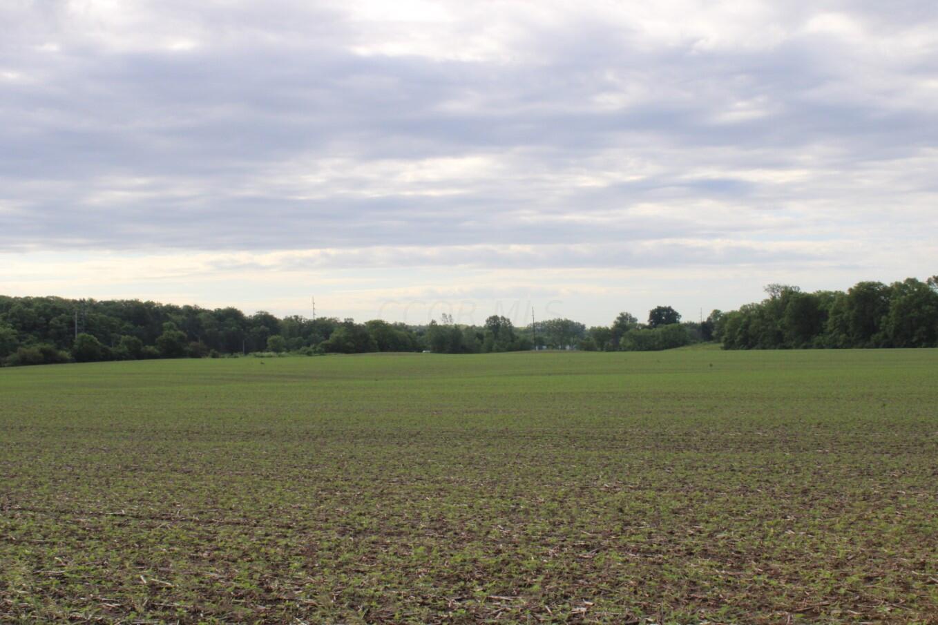 Co Rd 130, Bellefontaine, Ohio image 22