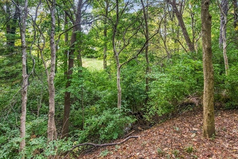 Tiny photo for 1519 Eastmeadow Place, Columbus, OH 43235 (MLS # 226039340)