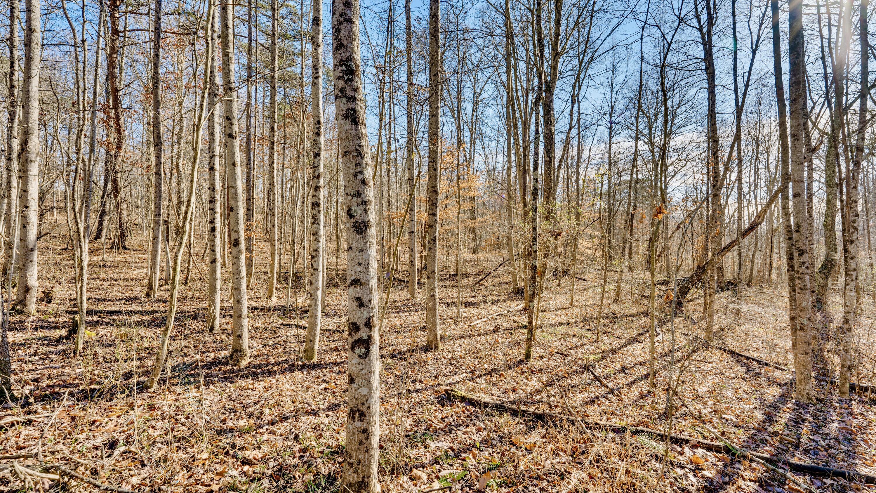 Harrison Road #TRACT 4, Jackson, Ohio image 17