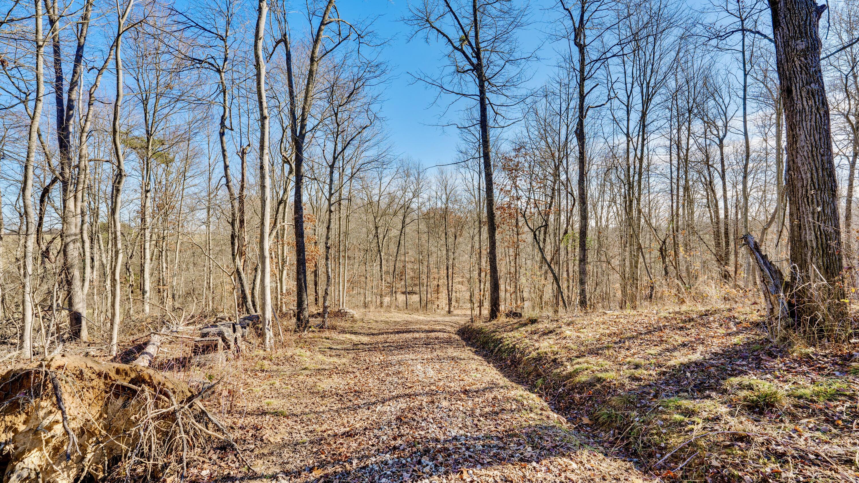 Harrison Road #TRACT 4, Jackson, Ohio image 3