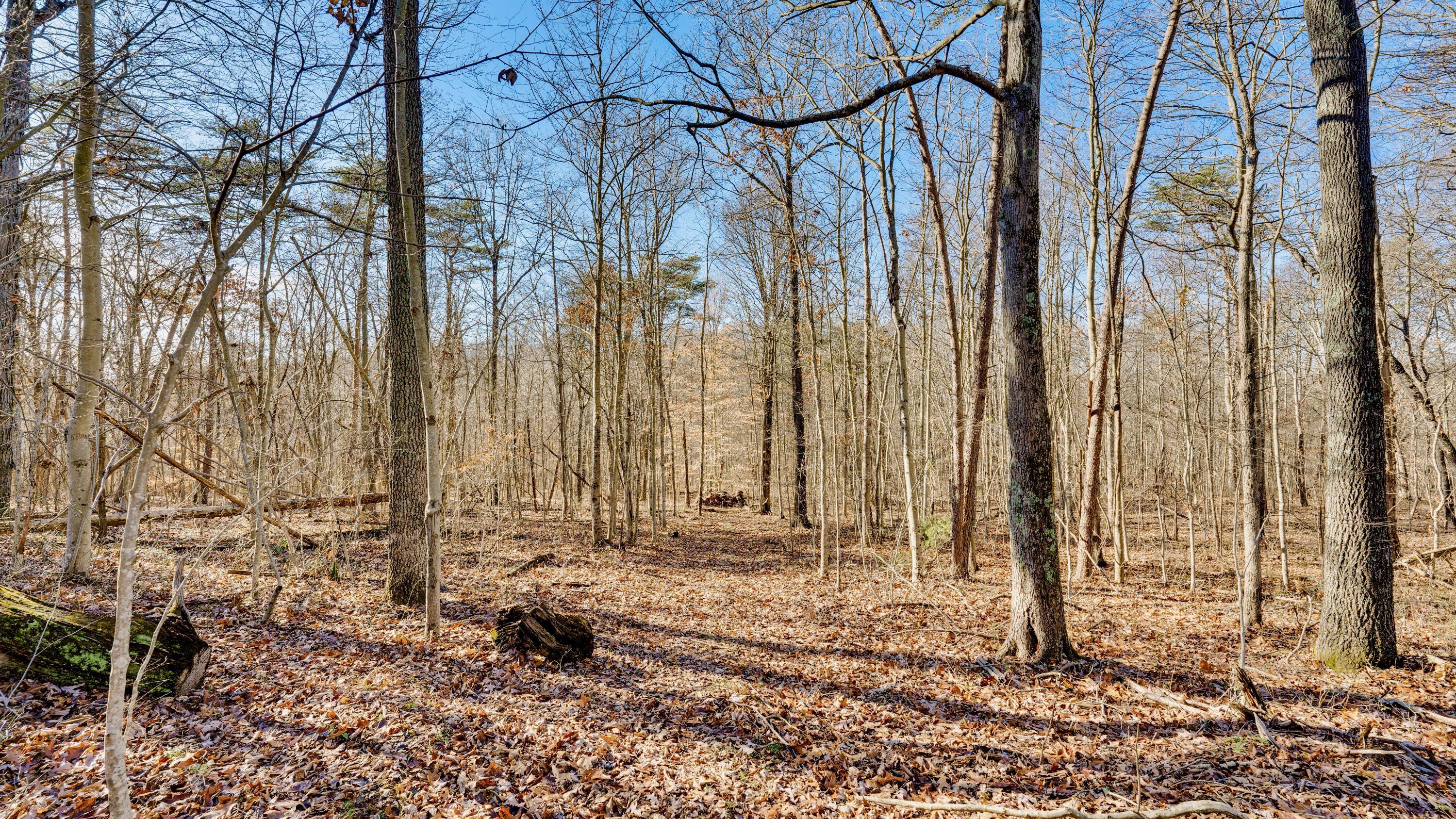 Harrison Road #TRACT 4, Jackson, Ohio image 16