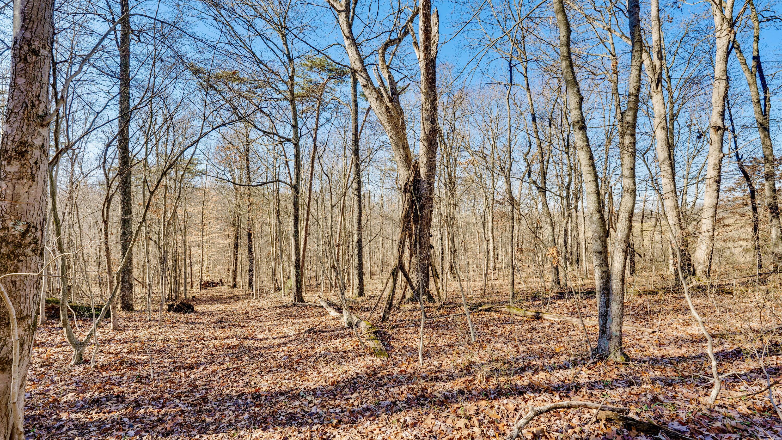 Harrison Road #TRACT 4, Jackson, Ohio image 10