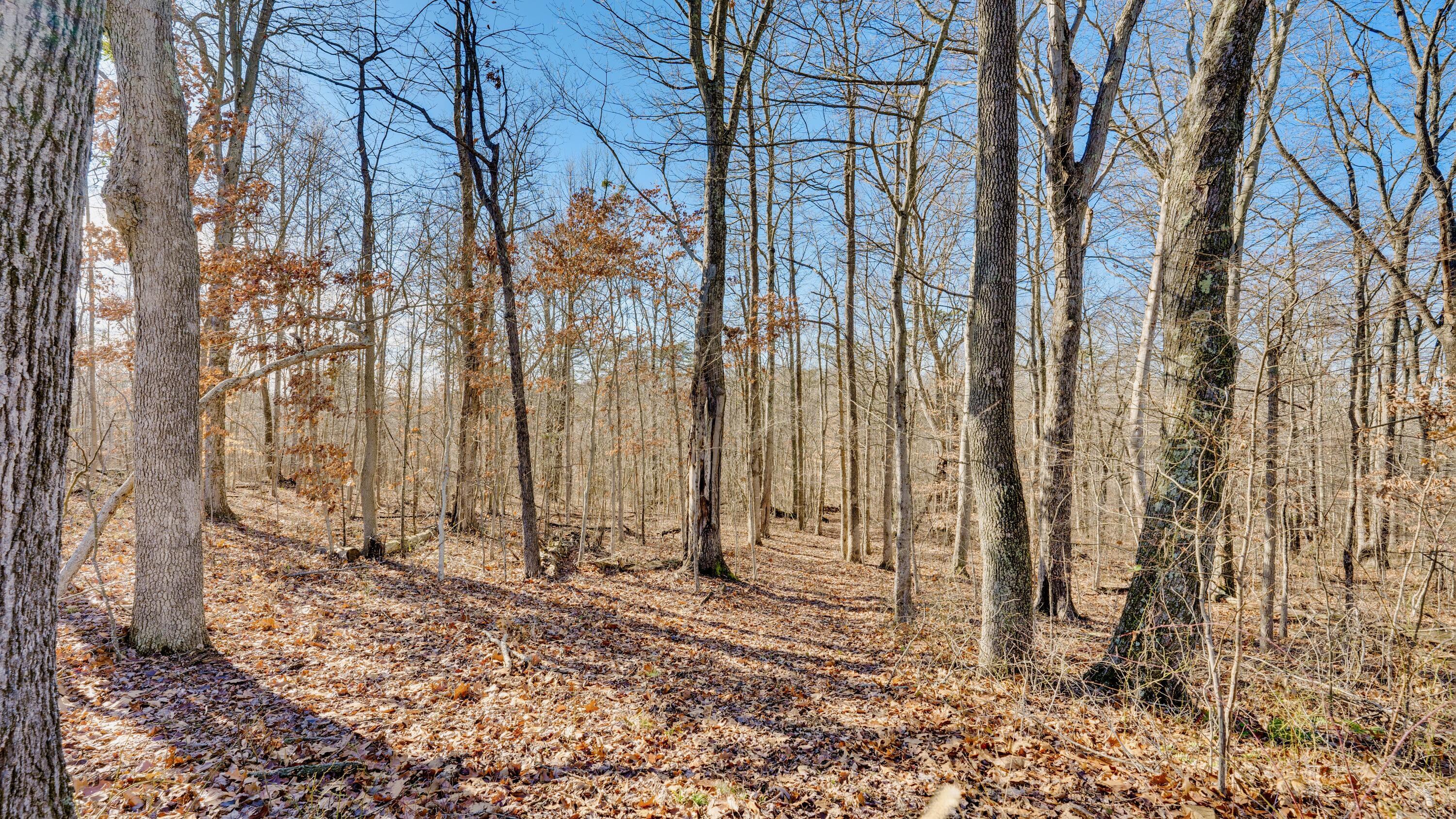 Harrison Road #TRACT 4, Jackson, Ohio image 4