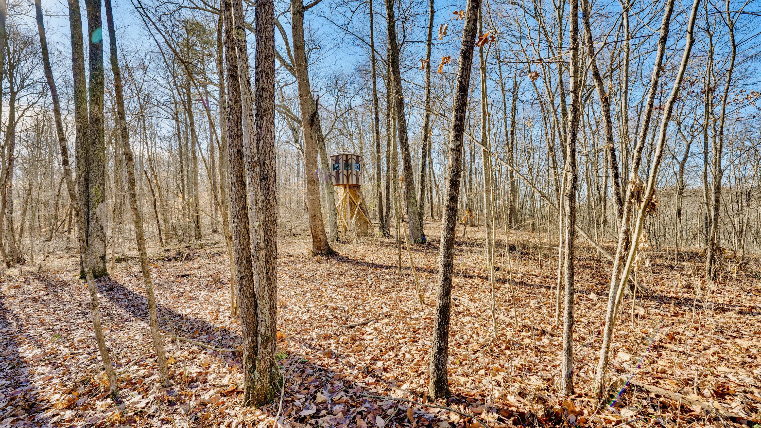 Harrison Road #TRACT 4, Jackson, Ohio image 8