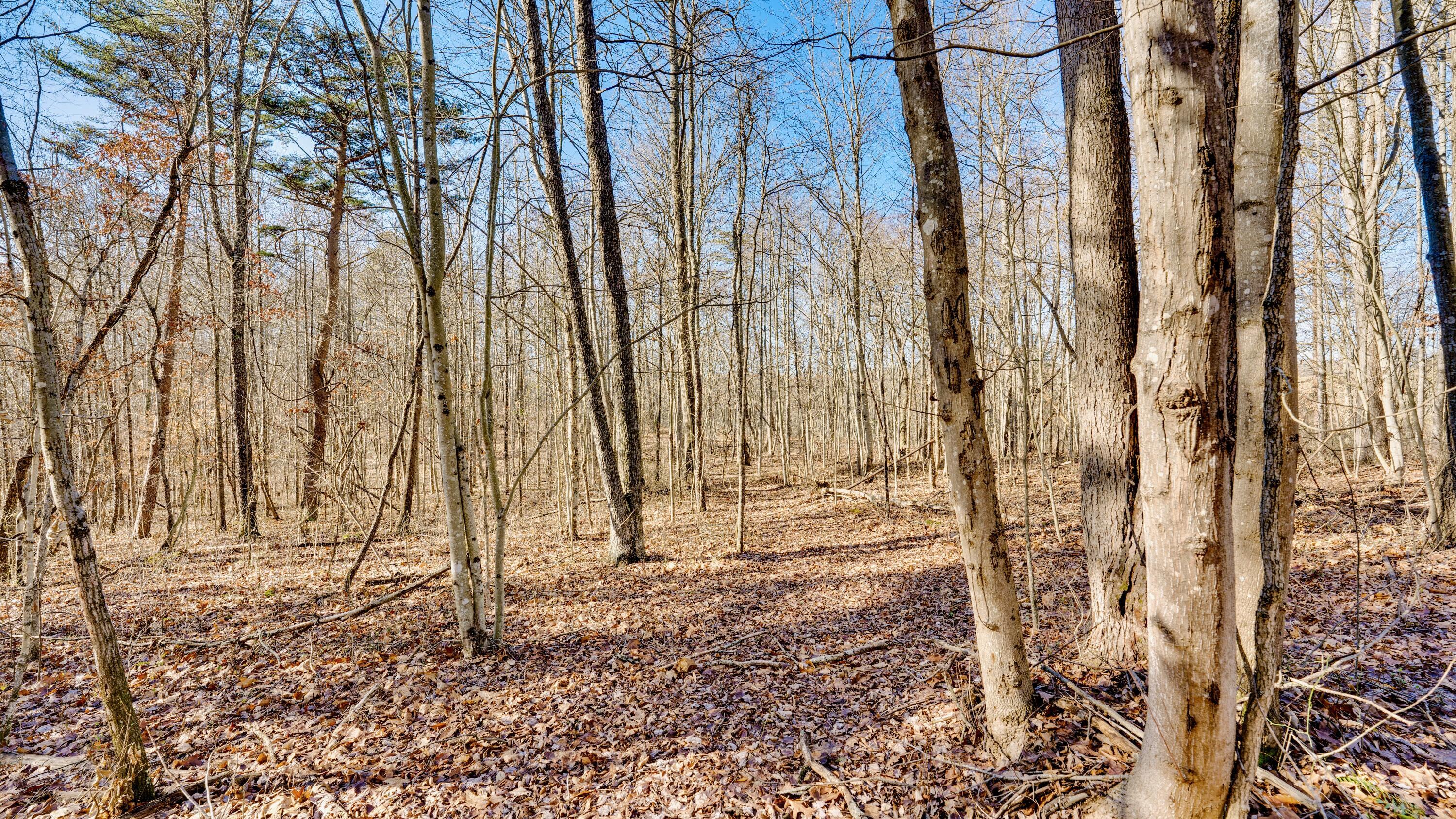 Harrison Road #TRACT 4, Jackson, Ohio image 9