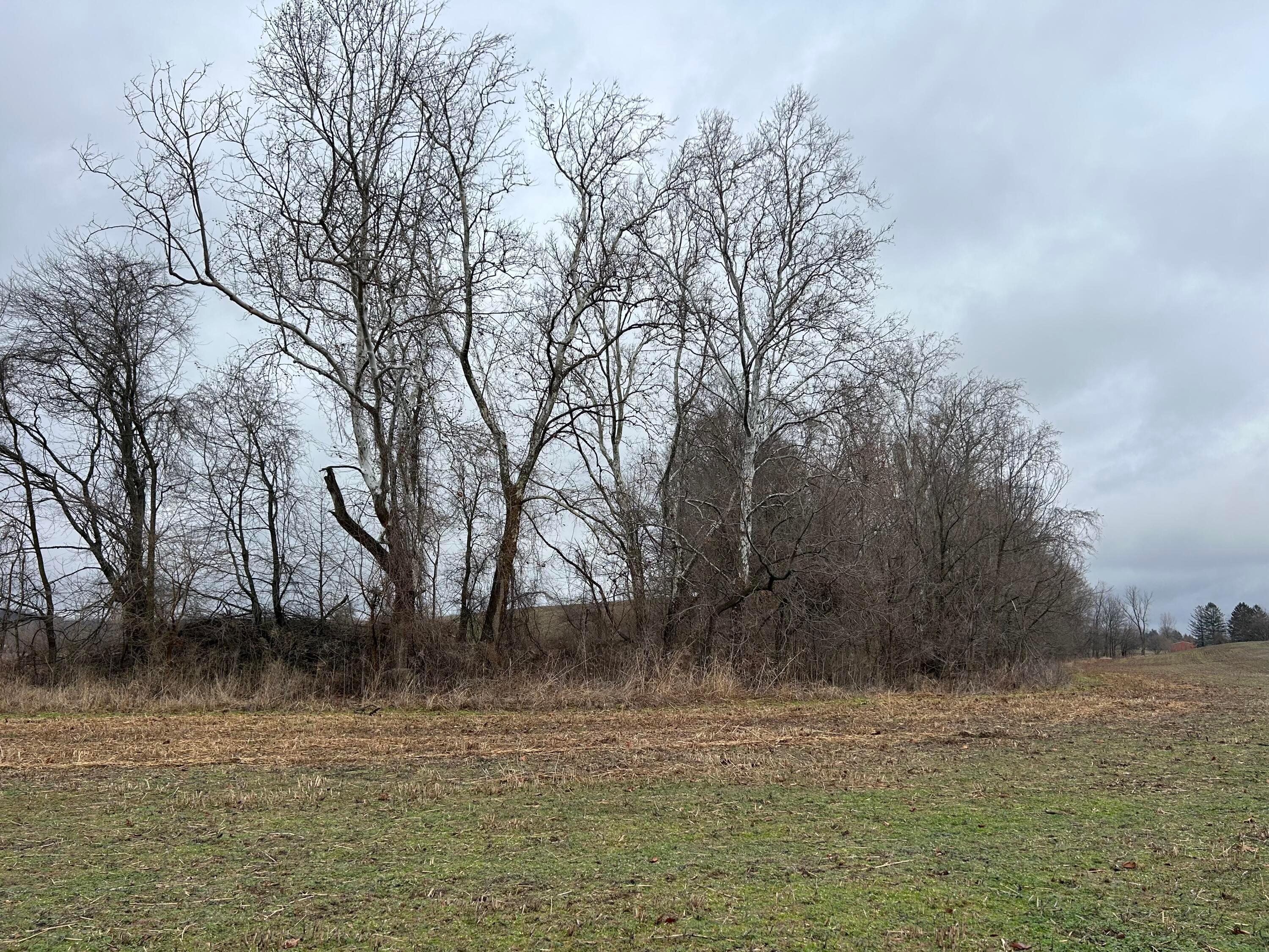 5445 S Duncan Road, Lancaster, Ohio image 35