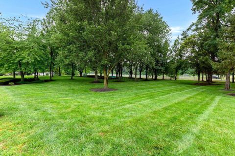 Tiny photo for 5852 Edge Of Village, Westerville, OH 43081 (MLS # 226000623)