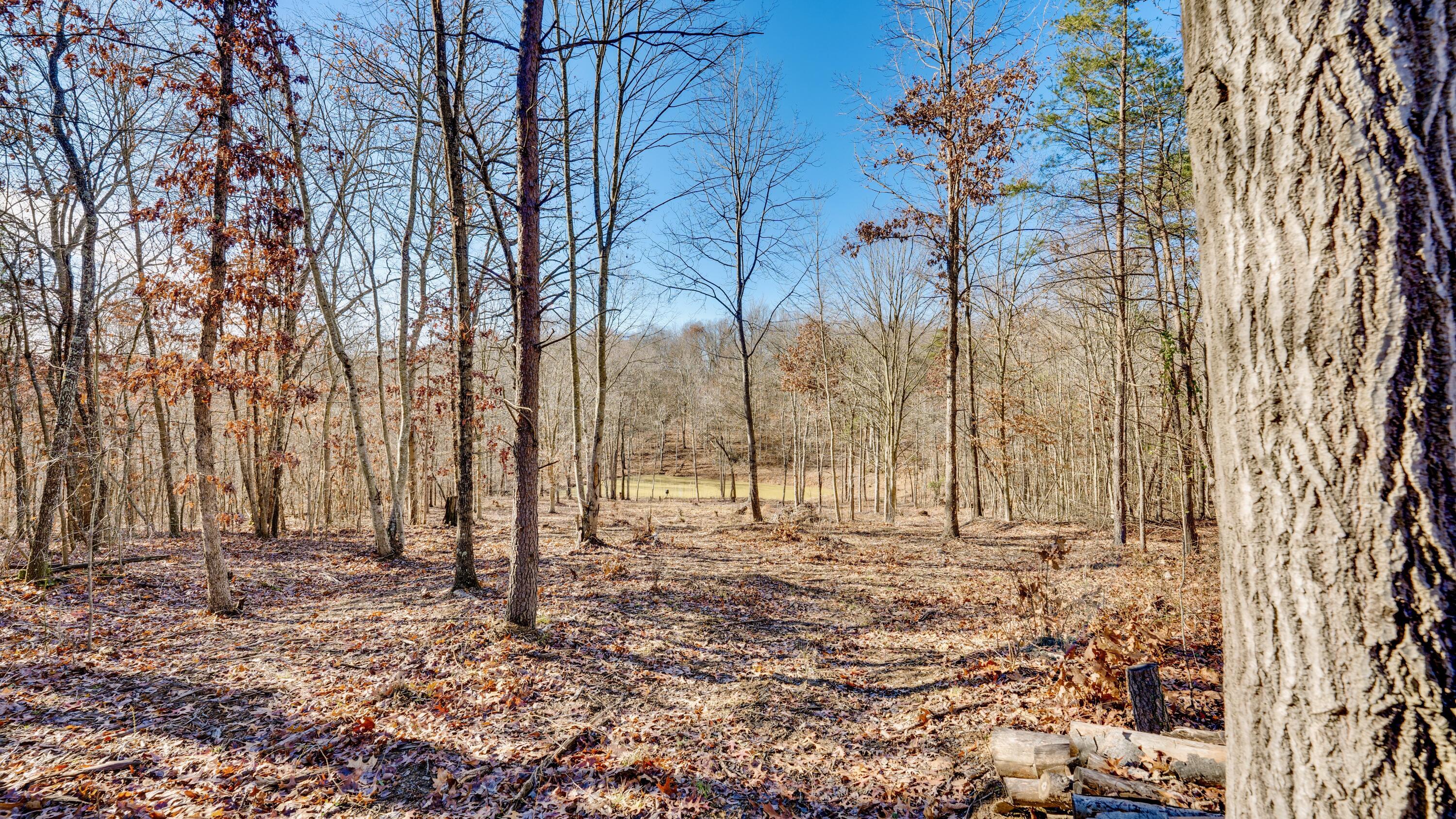 195 Harrison Road, Jackson, Ohio image 21