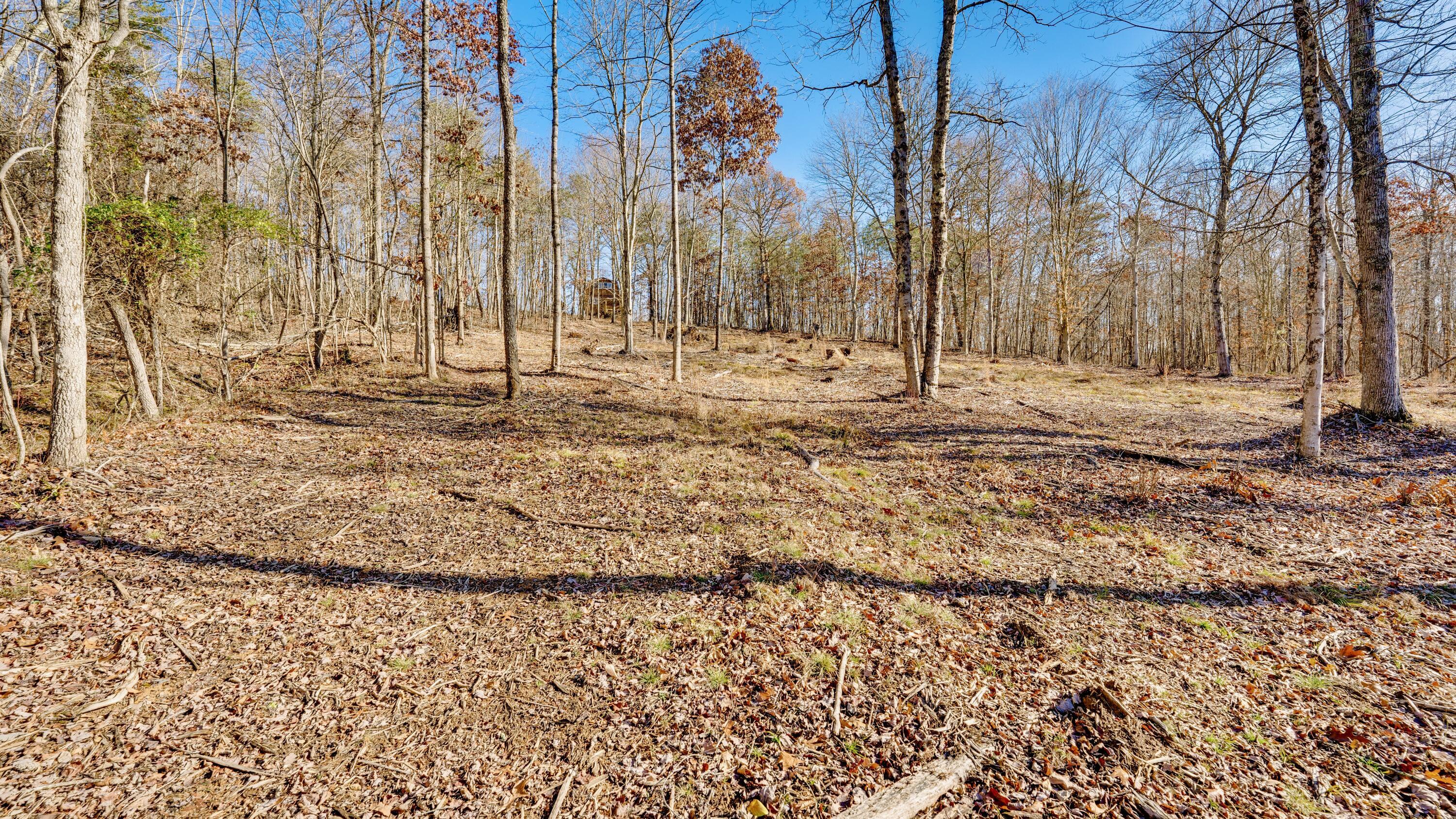 195 Harrison Road, Jackson, Ohio image 18