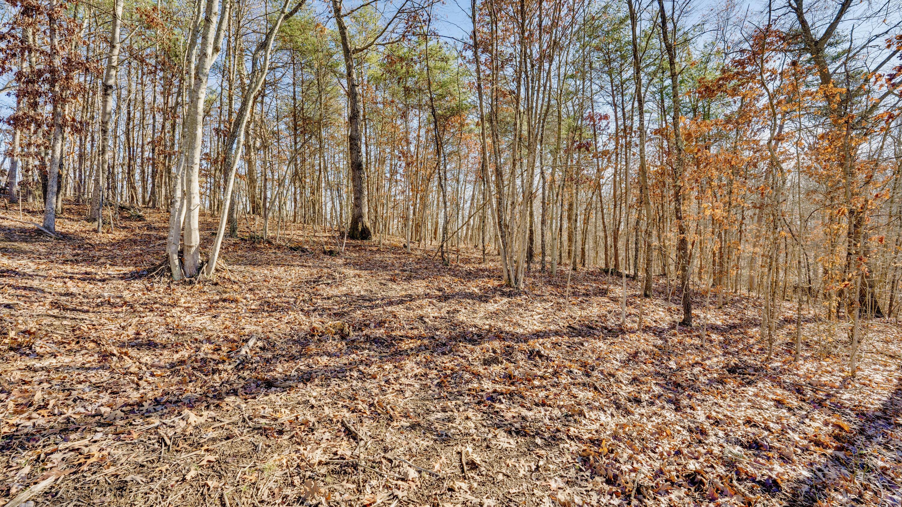 195 Harrison Road, Jackson, Ohio image 34