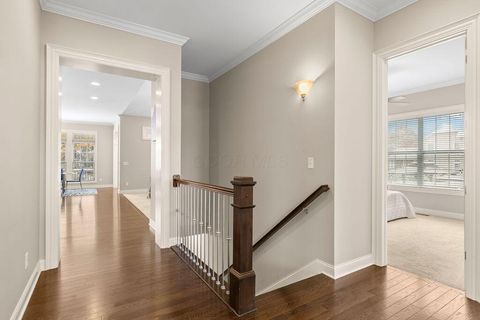 Tiny photo for 8381 Laidbrook Place, New Albany, OH 43054 (MLS # 225042392)