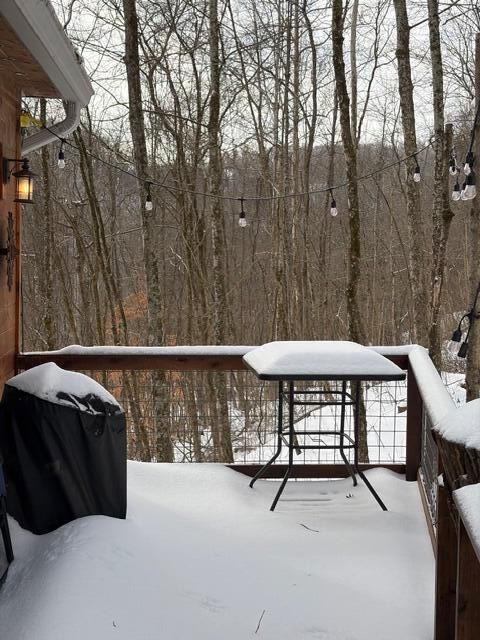 Tiny photo for 635 2 Mile Run, Cutler, OH 45724 (MLS # 226002777)