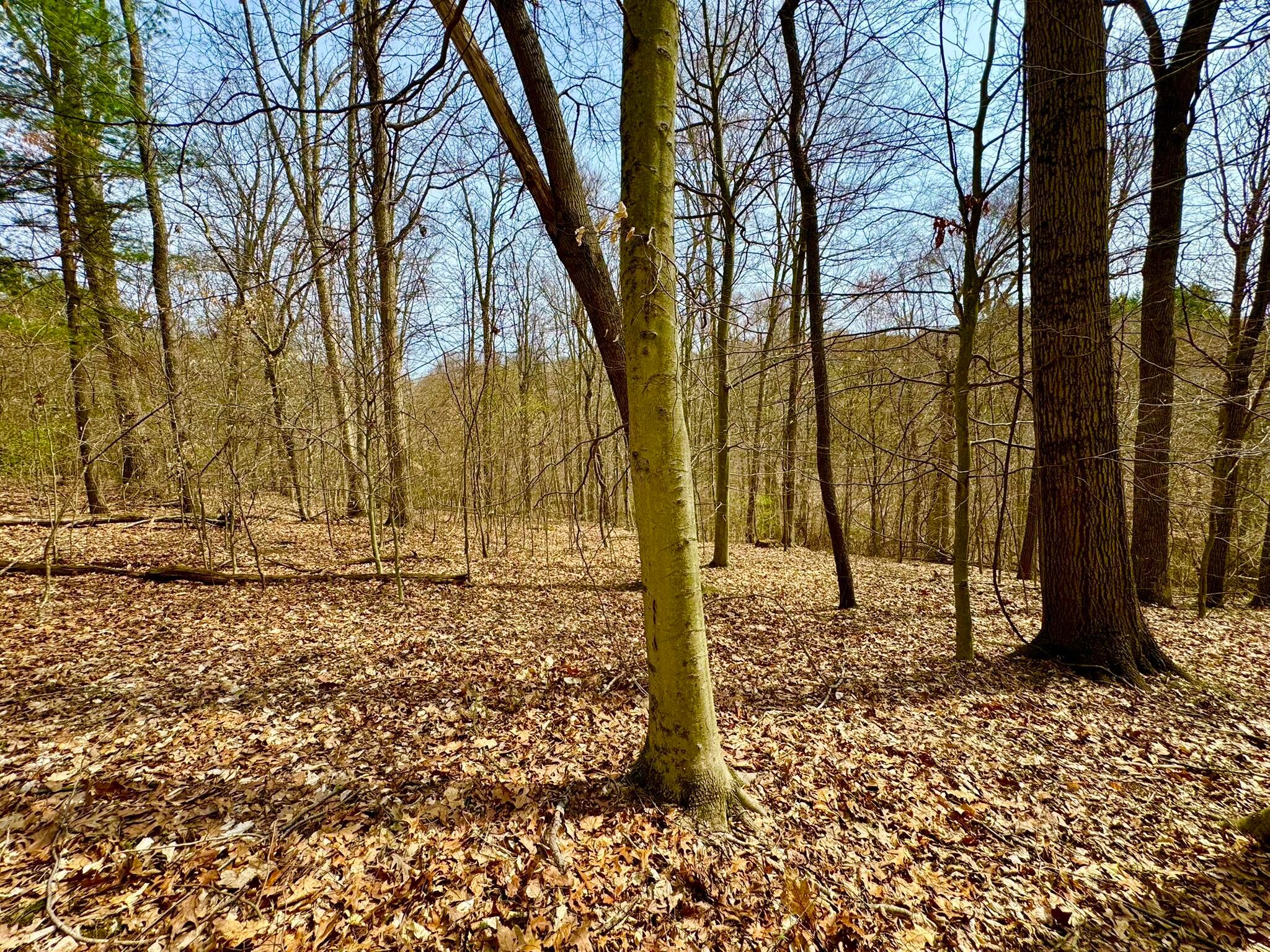 Otterbein Rd, Rushville, Ohio image 13