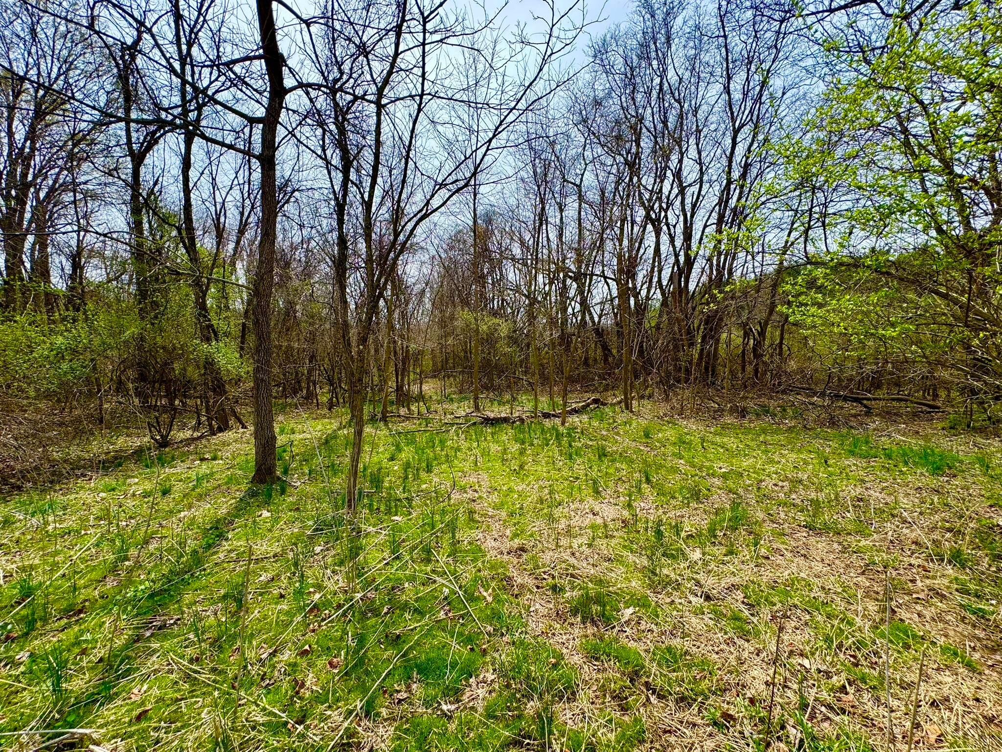 Otterbein Rd, Rushville, Ohio image 16