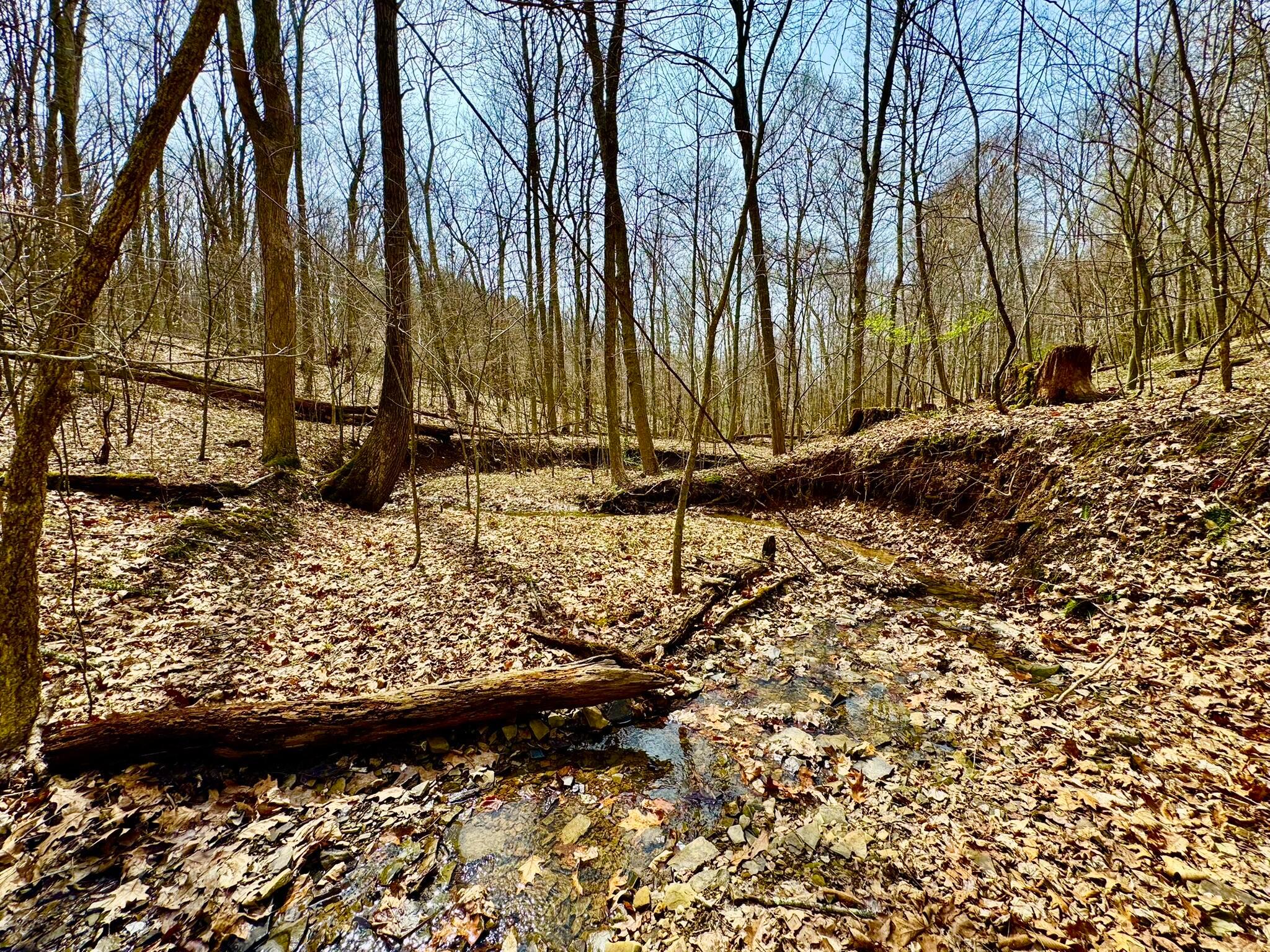 Otterbein Rd, Rushville, Ohio image 9