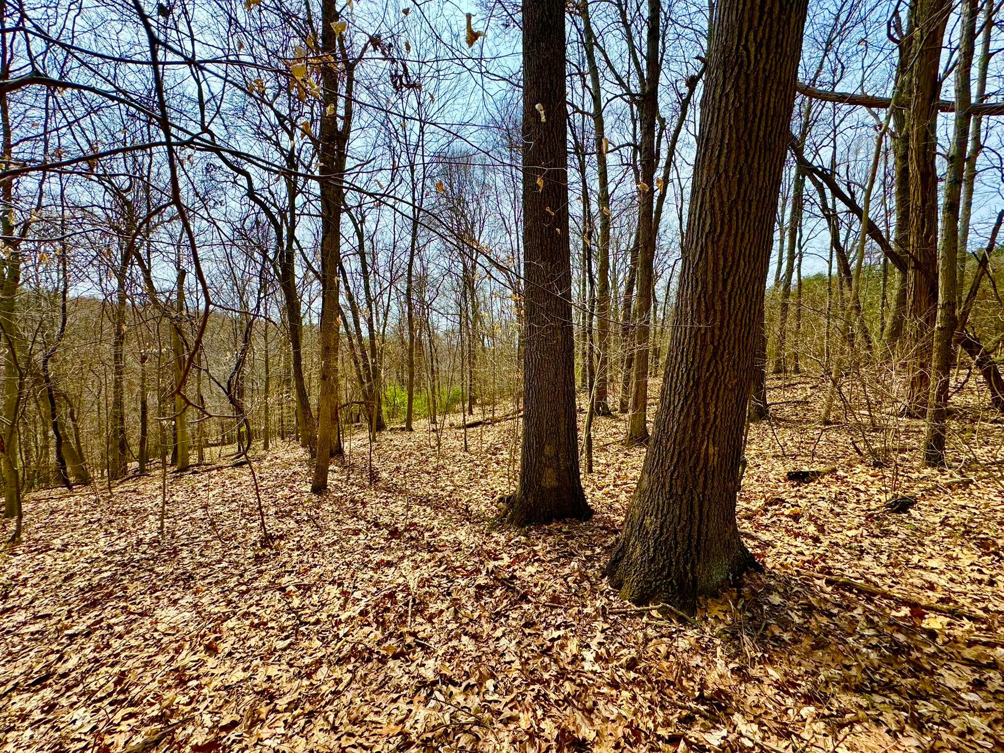 Otterbein Rd, Rushville, Ohio image 14