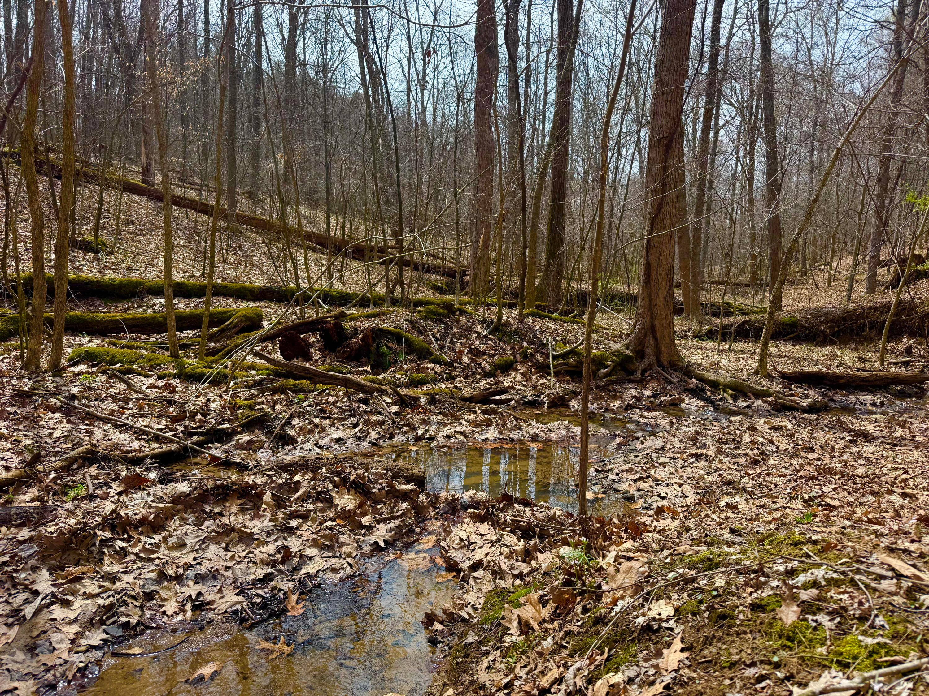Otterbein Rd, Rushville, Ohio image 8
