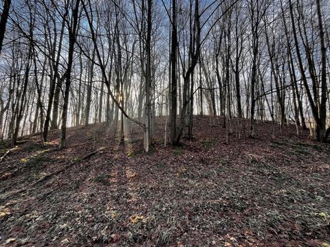 691 Crestrose Drive Howard OH 43028