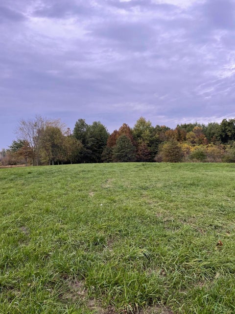 Photo of 0 Ohio 245, Marysville, OH 43040 (MLS # 226039507)