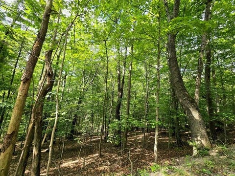 Photo of 1756 Mohican Lane, Hide-A-Way Hills, OH 43107 (MLS # 226037592)