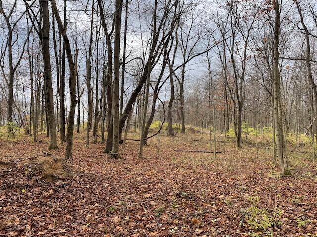 Dozer Road, Stoutsville, Ohio image 1