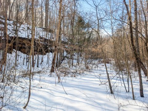 Vacant Land For Sale - 0 TRACT 13 Ayers Ridge Rd<br/> Noble County, Lower Salem, OH 45745