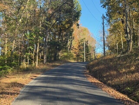Tiny photo for 23951 Brown Road, South Bloomingville, OH 43152 (MLS # 226039327)