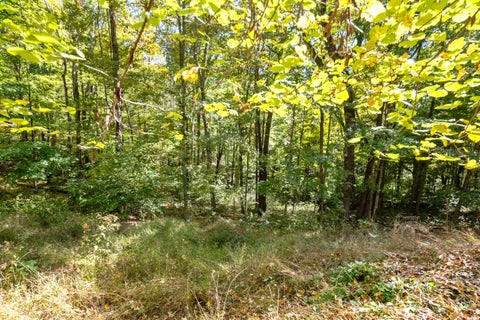 Tiny photo for 23951 Brown Road, South Bloomingville, OH 43152 (MLS # 226039327)