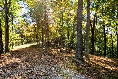 Tiny photo for 23951 Brown Road, South Bloomingville, OH 43152 (MLS # 226039327)