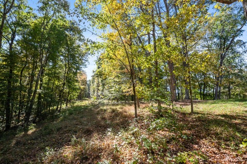 Tiny photo for 23951 Brown Road, South Bloomingville, OH 43152 (MLS # 226039327)