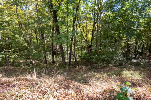 Tiny photo for 23951 Brown Road, South Bloomingville, OH 43152 (MLS # 226039327)